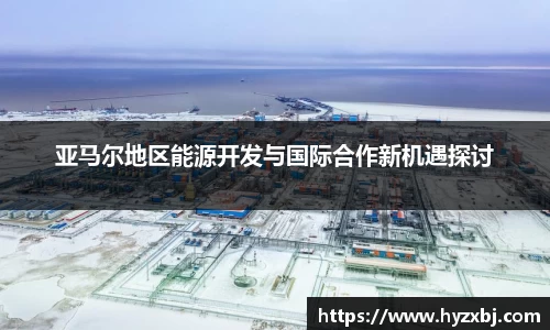 亚马尔地区能源开发与国际合作新机遇探讨