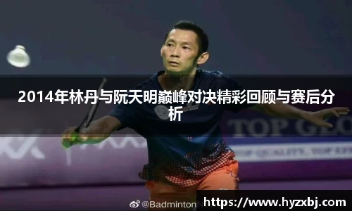 2014年林丹与阮天明巅峰对决精彩回顾与赛后分析